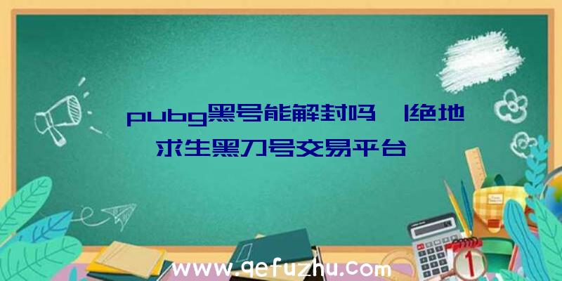 「pubg黑号能解封吗」|绝地求生黑刀号交易平台